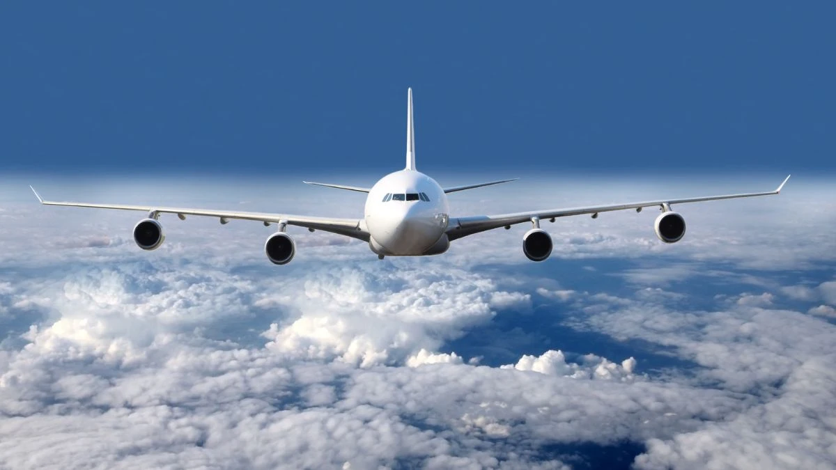 Aviation physics and airplane wing view